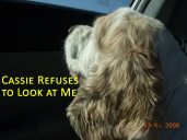 Cassie refuses to look at me