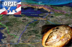 Mudpreachers experience with fish