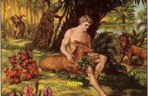 Adam