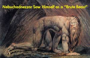 brute-beast brute-beast