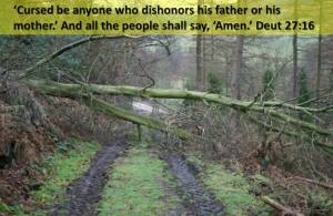cursed-are-those-who-dishonor-parents