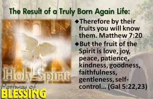 result-of-born-again-life