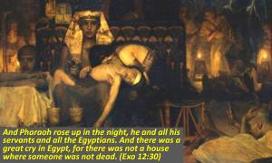 a-cry-goes-out-at-midnight