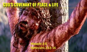 covenant-of-life-and-peace