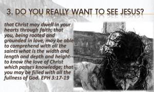 do-you-really-want-to-see-jesus
