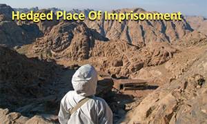 hedged-place-of-imprisonment