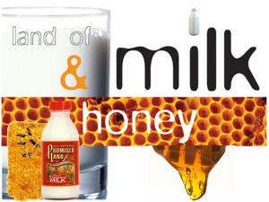 Land Flowing With Milk and Honey
