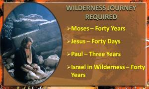 we-must-experience-the-wilderness