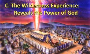 wilderness-reveals-power-of-god