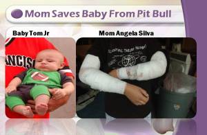 Mom fights off pitbull