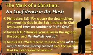 No Confidence in the Flesh No Confidence in the Flesh