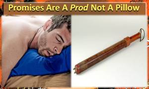 Promises of God no pillow