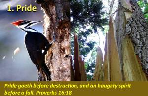 Pride goes before fall