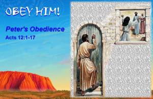 Peter Obeys Rhoda Answers