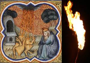 God_cuts_covenant-abraham