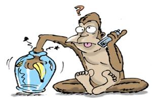 Monkeys do not Let Go