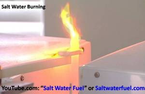 salt as catalyst - salt for fuel