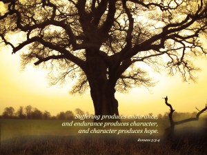 Proven Character results from trials Romans5_3-4