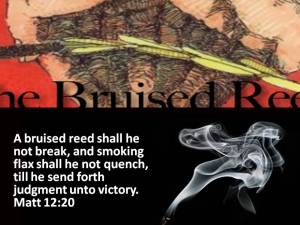 Bruised Reed Smoking Flax