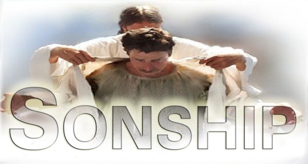 sonship_toga_virilus