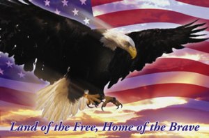 LAND OF THE FREE HOME OF THE BRAVE_2532